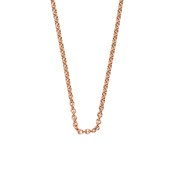 <img class="imgprod" src="https://stageing.rietz.ch/wp-content/uploads/2021/04/mother-daueghter.jpg">Collier RG 750 Ankergeflecht