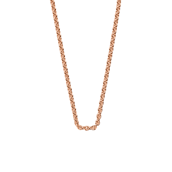 <img class="imgprod" src="https://stageing.rietz.ch/wp-content/uploads/2021/04/mother-daueghter.jpg">Collier RG 750 Ankergeflecht